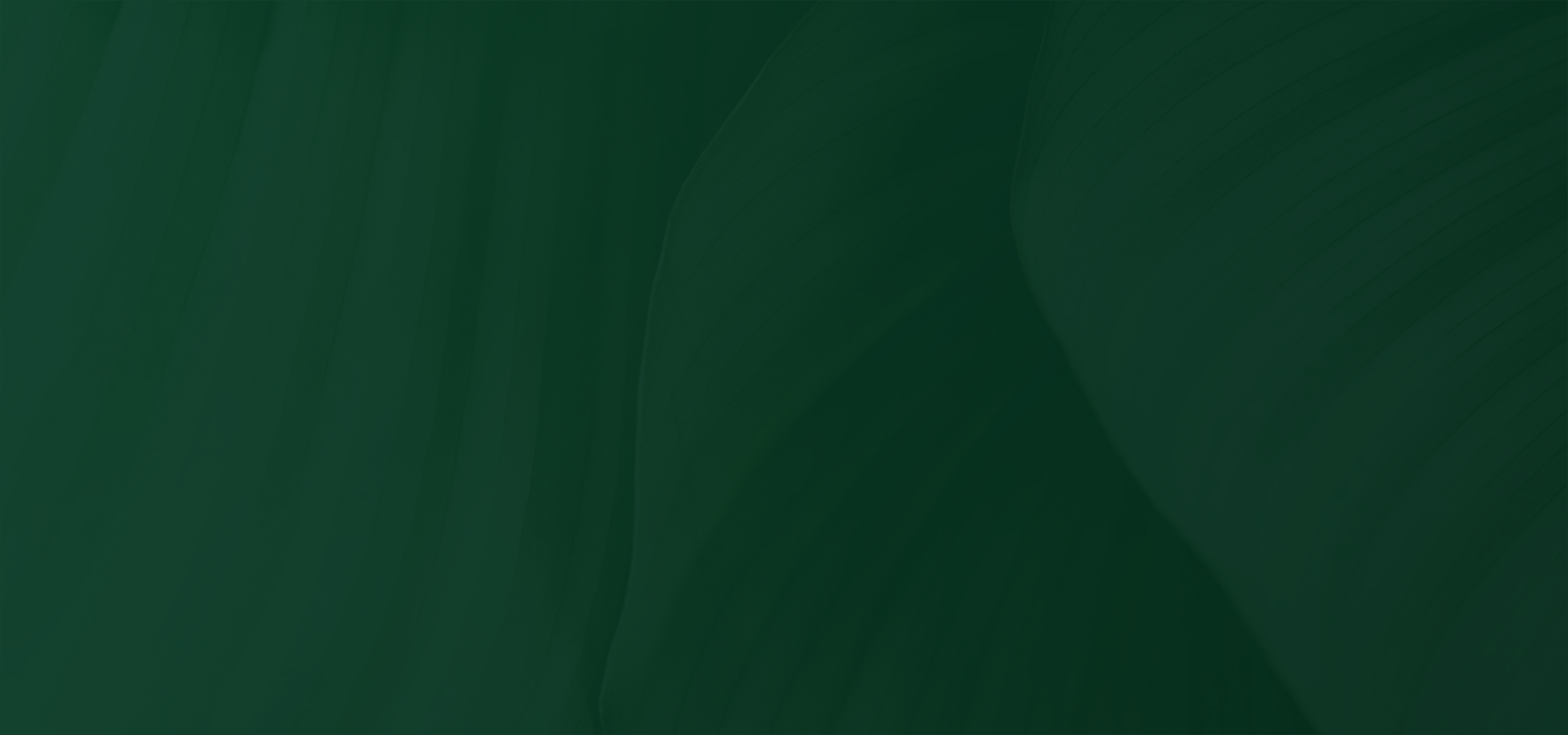footer bg