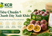 Tiêu chuẩn chanh dây xuất khẩu: Yêu cầu từ vùng trồng đến đóng gói