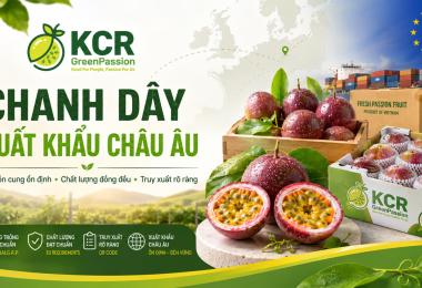 Chanh Dây Xuất Khẩu Châu Âu: Yêu Cầu, Quy Trình Và Nguồn Cung Kcr Greenpassion