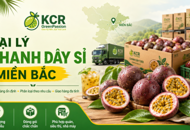 Đại lý chanh dây sỉ miền Bắc: nhu cầu nhập hàng, phân loại sản phẩm, tiêu chí chọn nguồn và giải pháp giao hàng