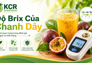 Độ Brix Của Chanh Dây: Khái Niệm, Khoảng Giá Trị, Cách Đo Và Tiêu Chuẩn Chất Lượng