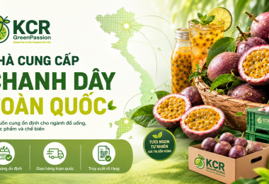 Nhà Cung Cấp Chanh Dây Toàn Quốc Cho Ngành Đồ Uống, Thực Phẩm