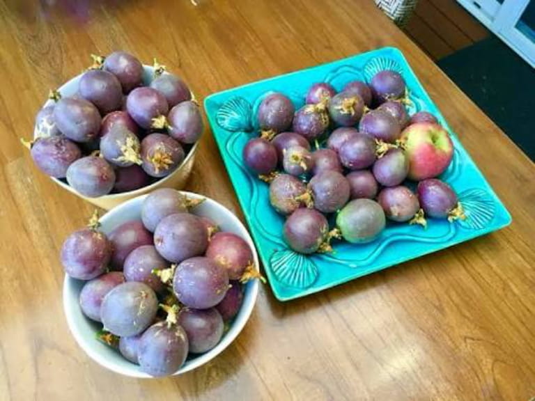 Bảo quản chanh dây không cần tủ lạnh