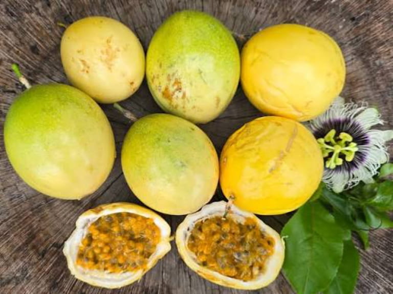 Chanh dây ít calo, nhiều lợi ích nhưng vẫn có rủi ro nếu dùng sai cách hoặc lạm dụng.