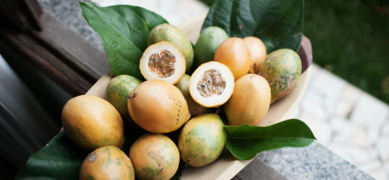 Rủi ro và tác dụng phụ cần lưu ý khi dùng chanh dây