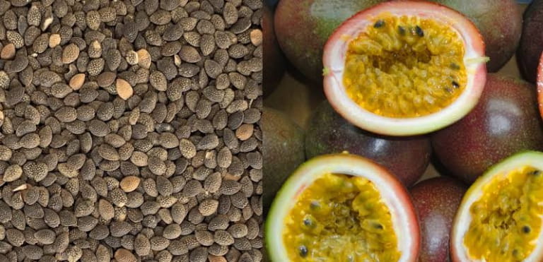 Cách sử dụng hạt chanh dây an toàn